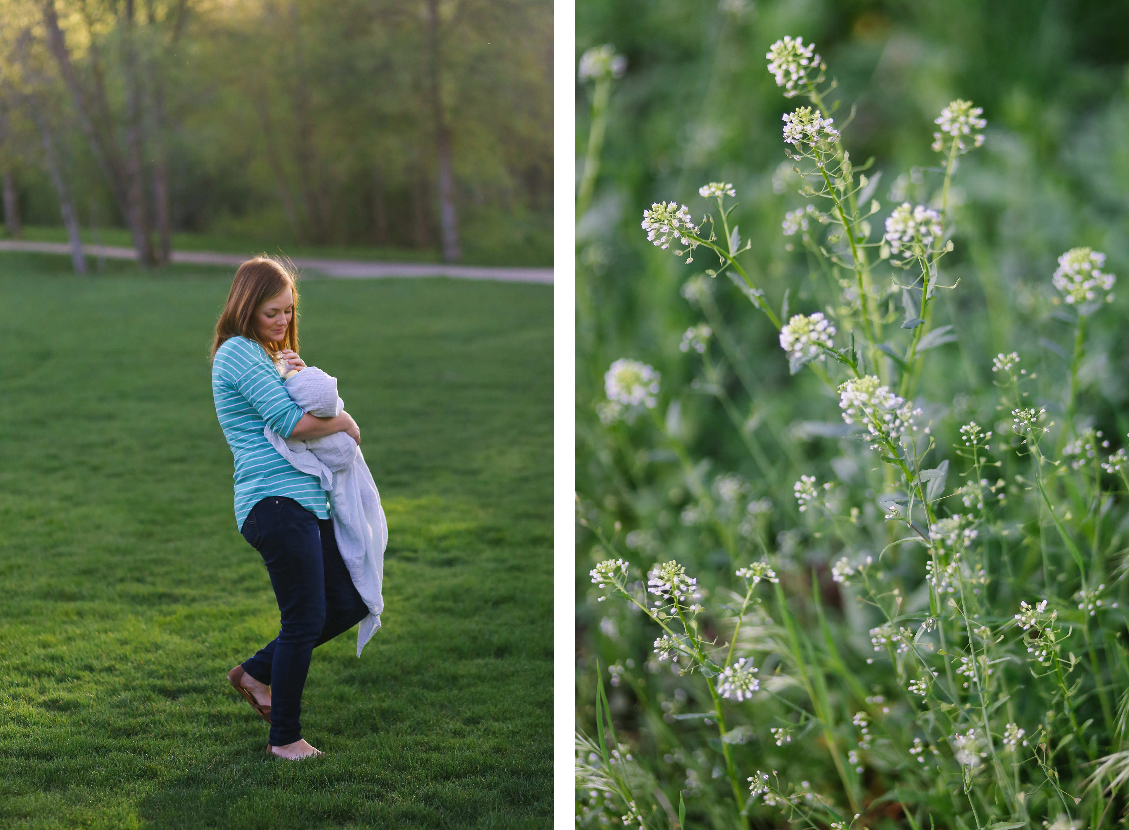 provo family photographer